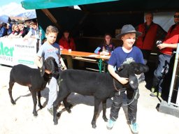 2019_ausstellung polling_350